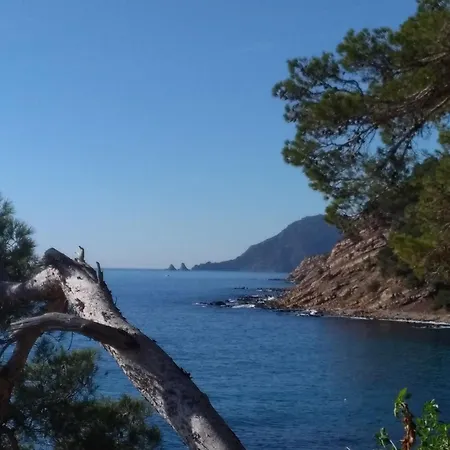 Sur Le Toit Apartment Saint-Mandrier-sur-Mer